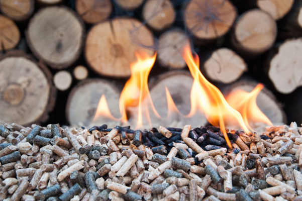 Biomass Service and Maintenance
